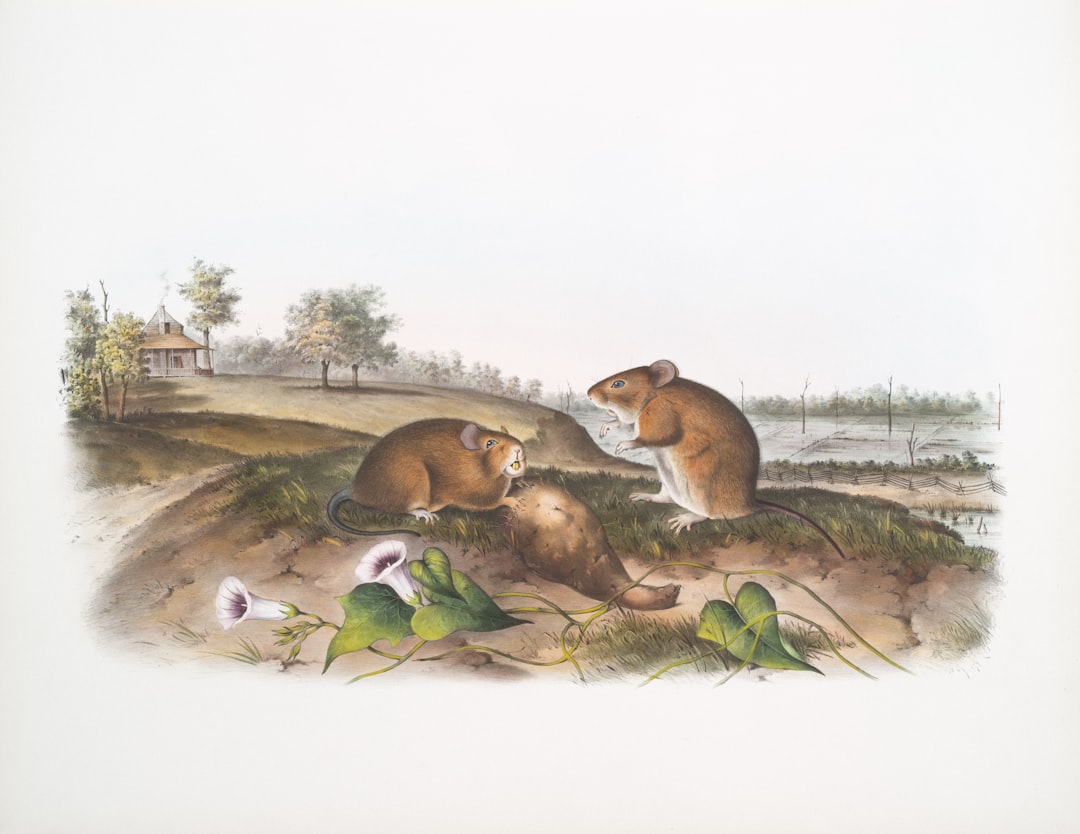 Ratten in huis voorkomen en bestrijden zonder stress